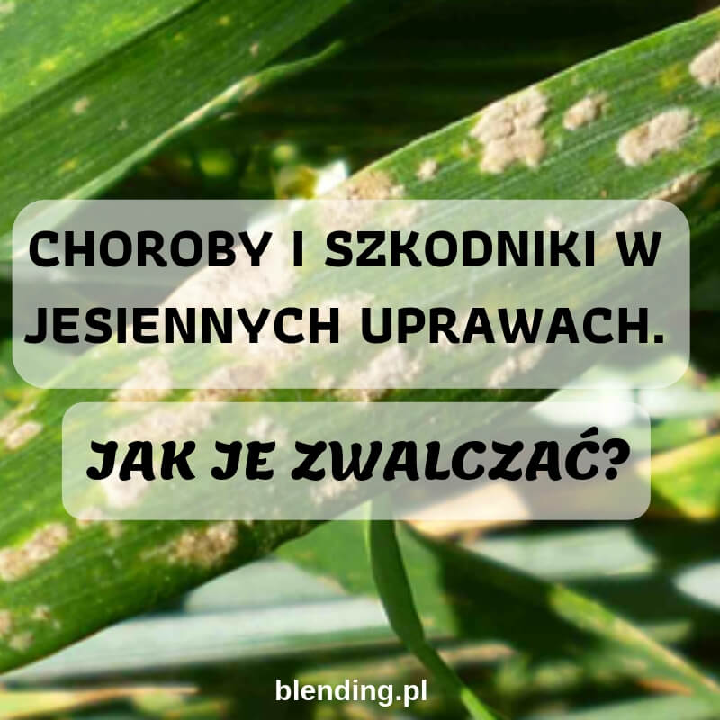 Zagrożenia ze strony chorób i szkodników