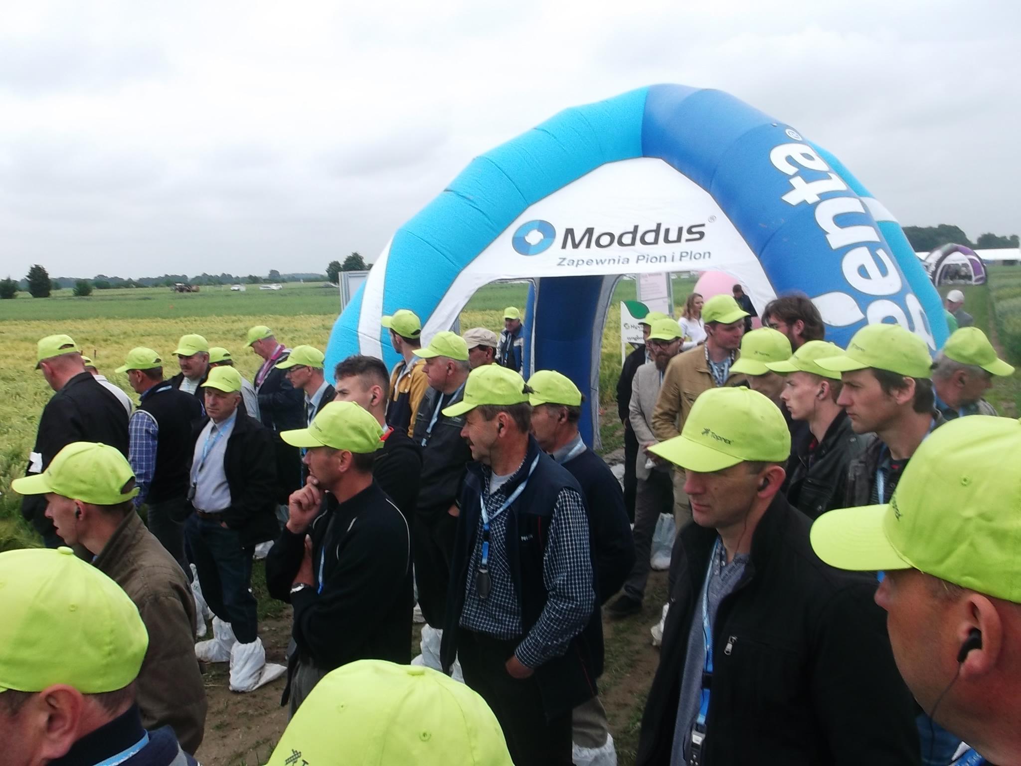 Syngenta – Pola Klasy S Syngenta – Pola Klasy S