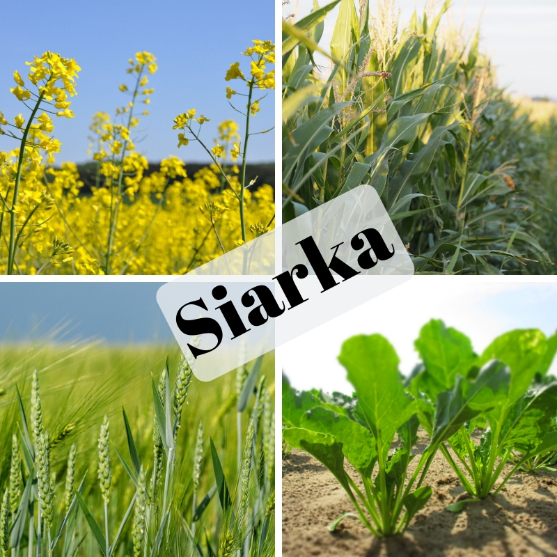 Siarka Siarka