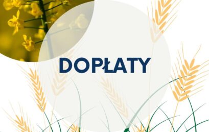 Pomoc dla producentów zbóż.