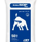 kalisop