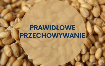 Prawidłowe magazynowanie