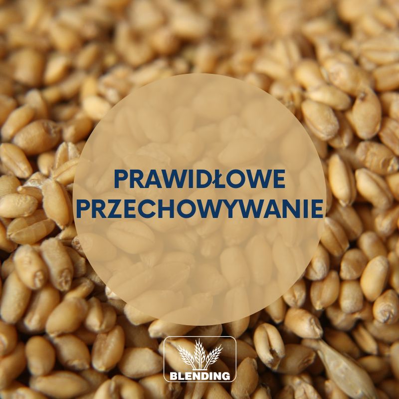 Prawidłowe magazynowanie