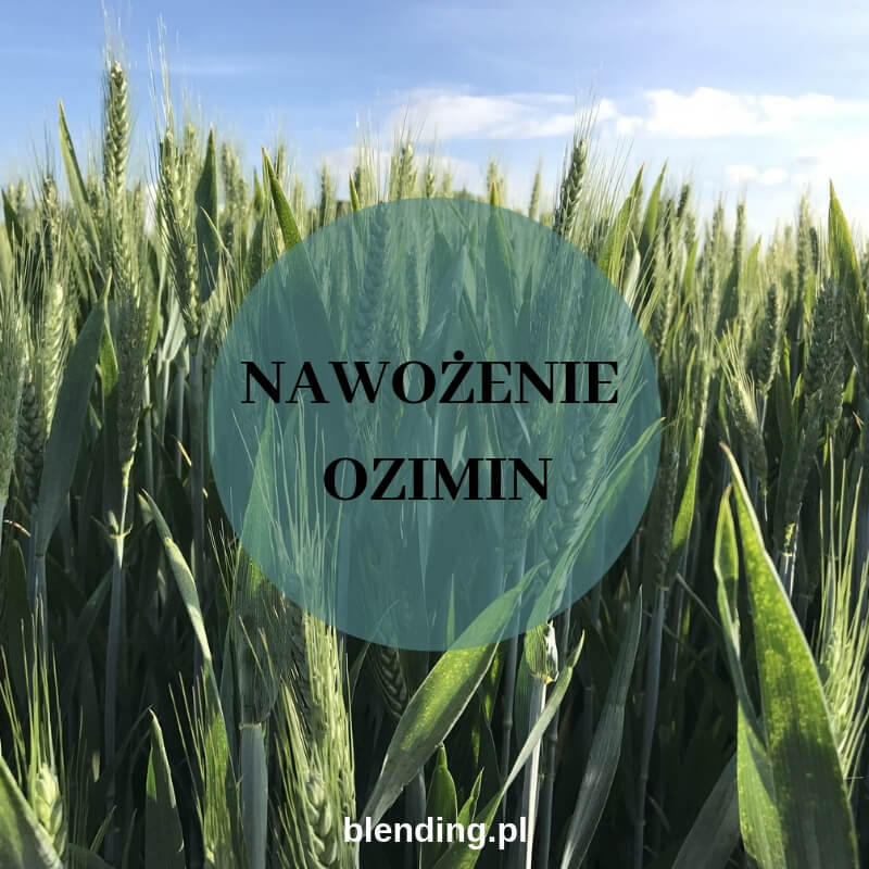 Wiosenne nawożenie Wiosenne nawożenie