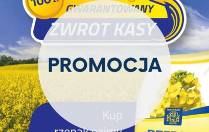 „Gwarantowany zwrot kasy”