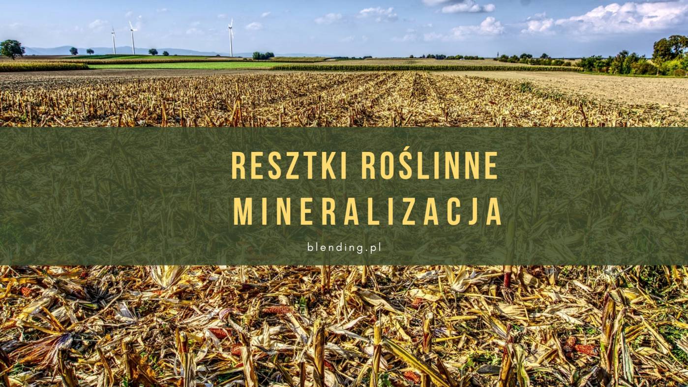 Resztki roślinne