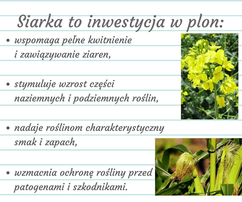 siarka_plon