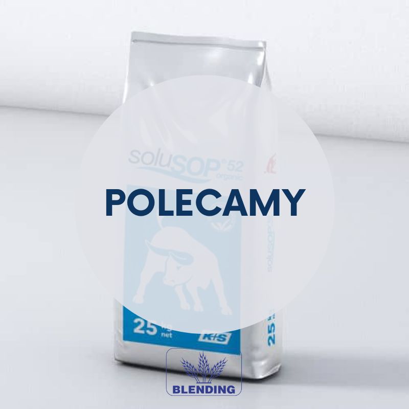 BLENDING poleca –