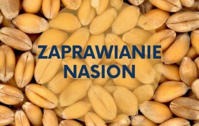 Zaprawianie ziarna –