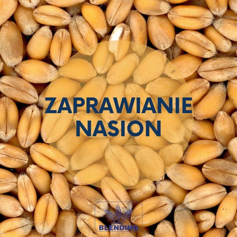 Zaprawianie ziarna –