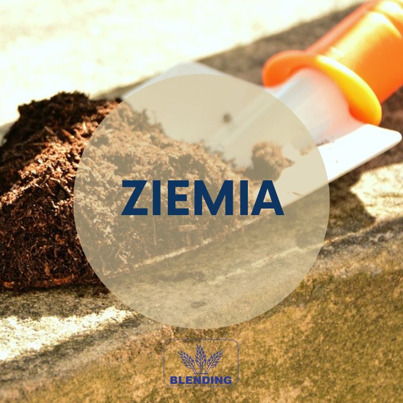 Ziemia w ofercie. Ziemia w ofercie.