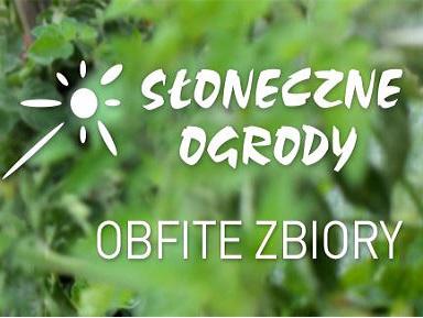 Wiosenne nowości!