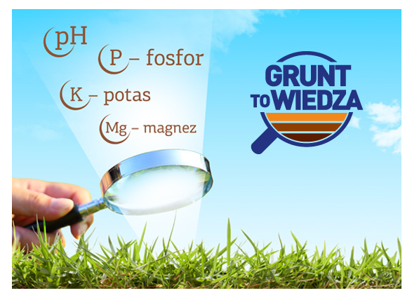 Grunt to wiedza Grunt to wiedza