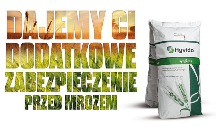 syngenta jęczmień