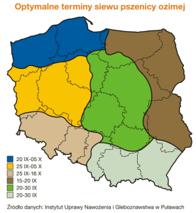 terminy-siewu-pszenicy-ozimej