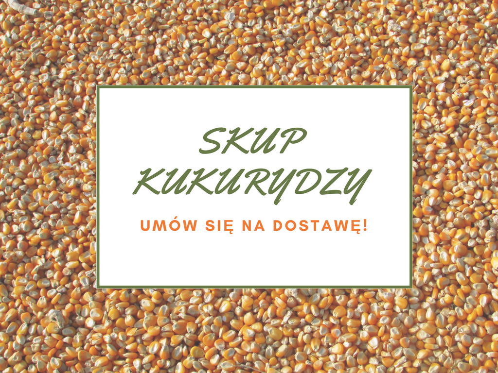 Harmonogram dostaw Harmonogram dostaw