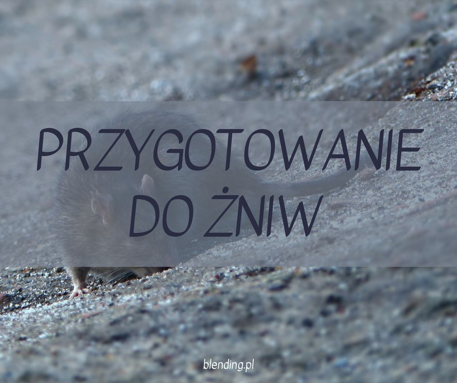 Przygotowania do żniw