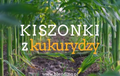 Tania i bez strat?
