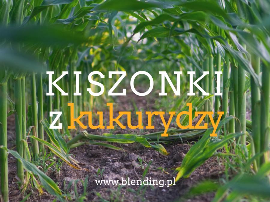 Kiszonka z kukurydzy