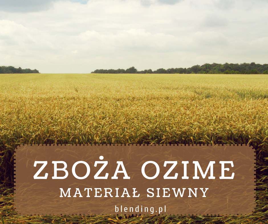 Czy masz już materiał siewny?