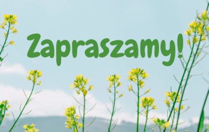 Wznowienie sprzedaży detalicznej