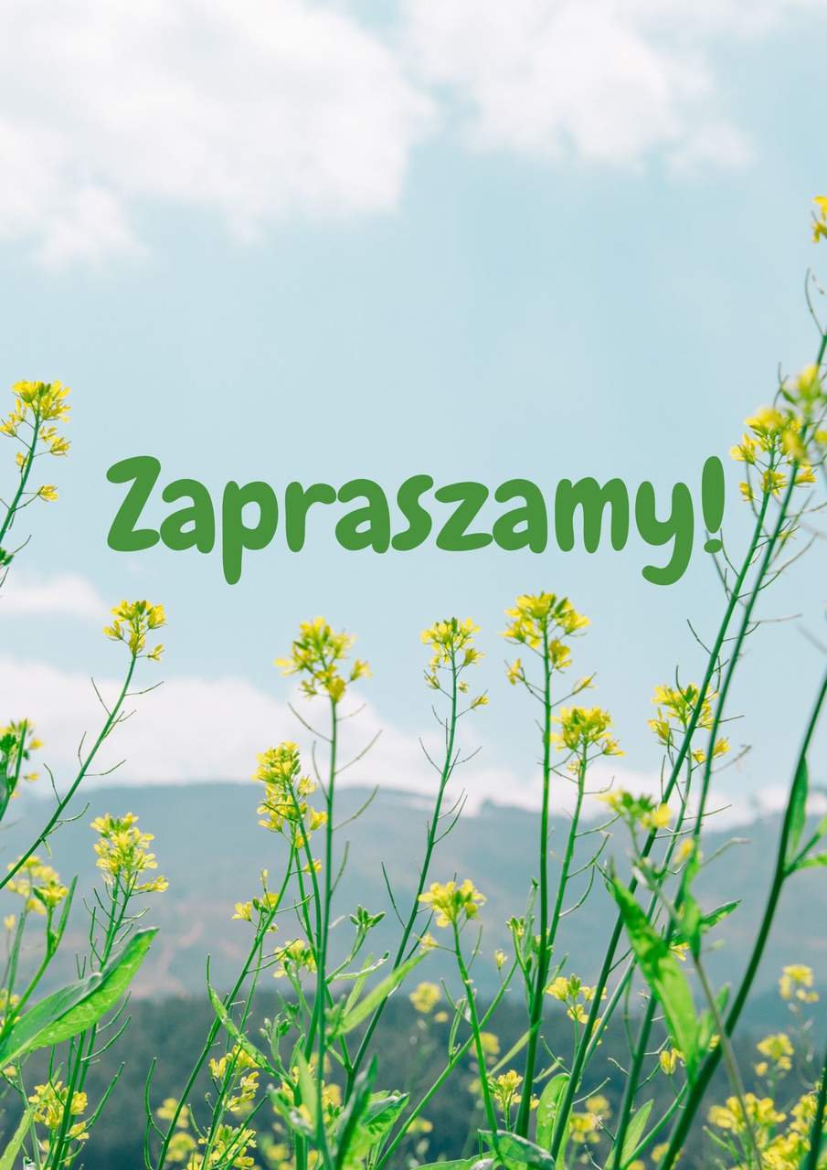 Wznowienie sprzedaży detalicznej Wznowienie sprzedaży detalicznej