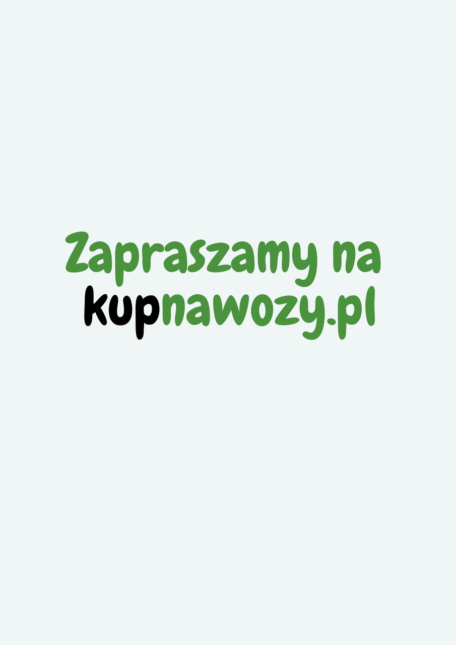 Kupuj w naszym sklepie internetowym!