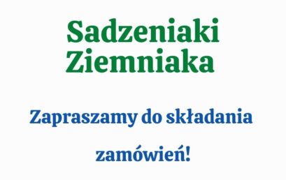 Sadzeniaki ziemniaka