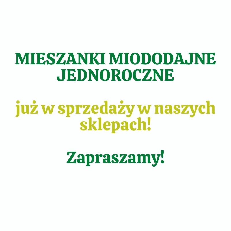 MIESZANKI MIODODAJNE JEDNOROCZNE!