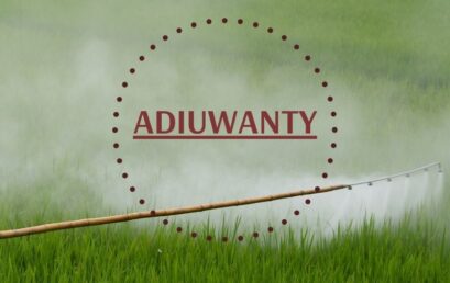 Adiuwanty