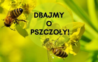 Światowy Dzień Pszczół