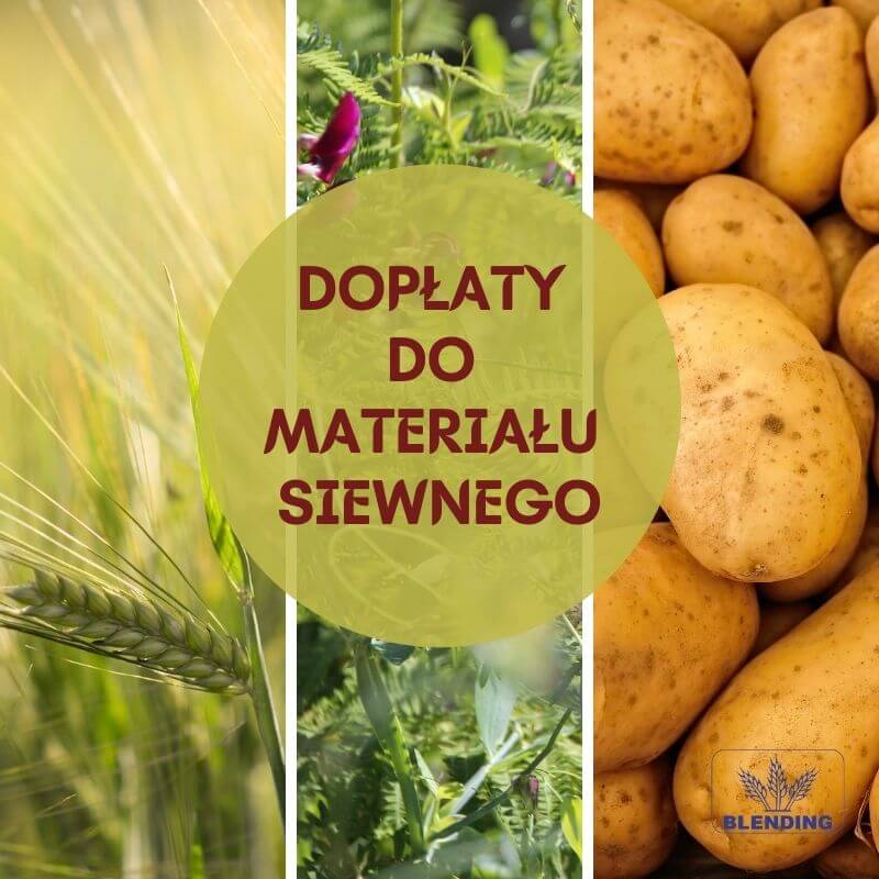 Dopłaty do materiału siewnego!