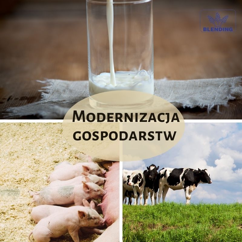 Modernizacja gospodarstw rolnych