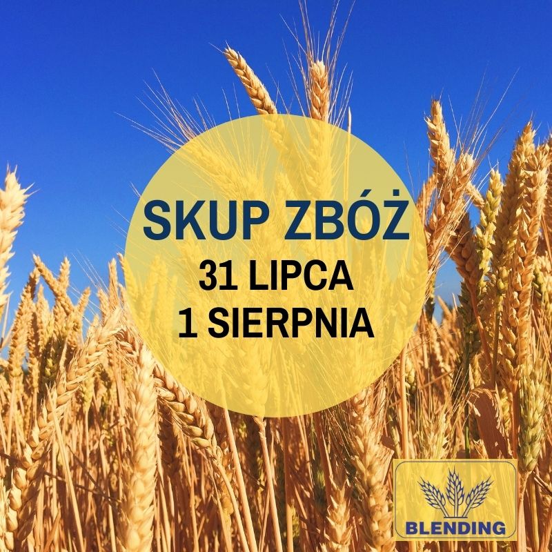 SKUP ZBÓŻ SKUP ZBÓŻ