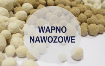 Wapnowanie