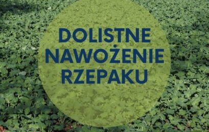 Jesienne nawożenie