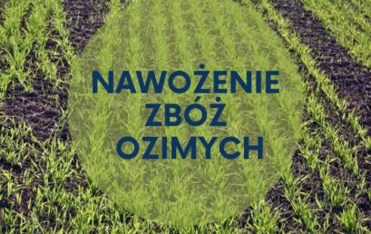 Jesienne nawożenie