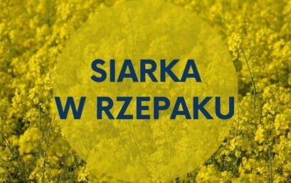 Siarka –