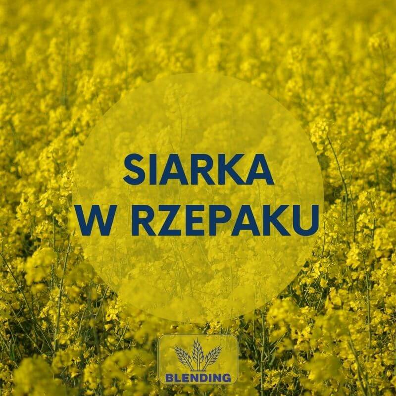 Siarka –