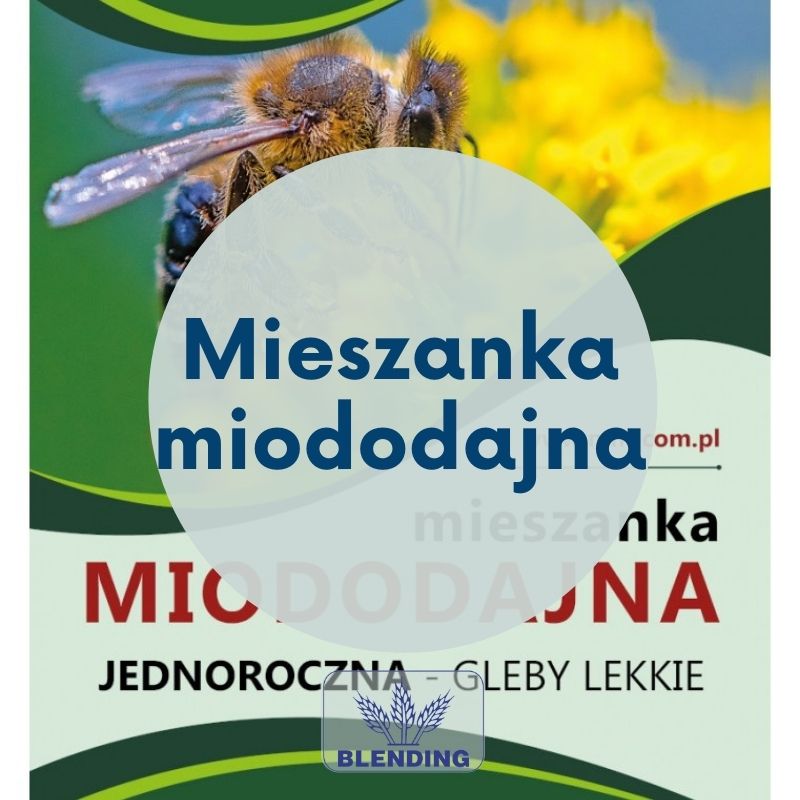 Mieszanki roślin miododajnych.