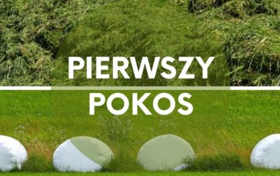 Pierwszy pokos.