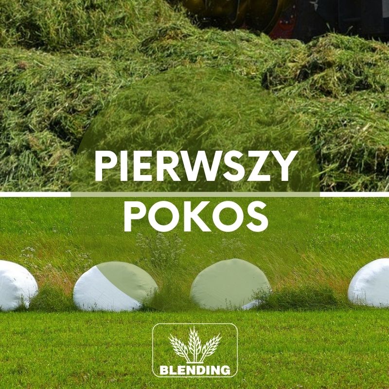 Pierwszy pokos.