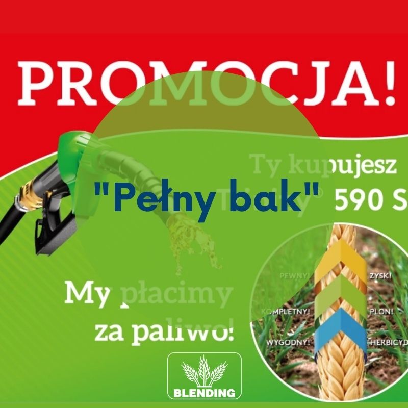 Promocja!