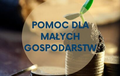 Restrukturyzacja małych gospodarstw.