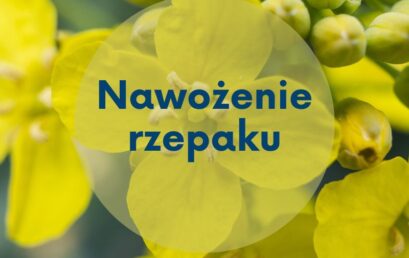 Przedsiewne nawożenie