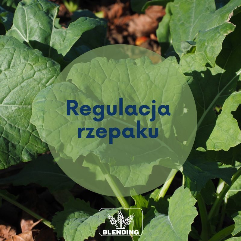 Regulacja wzrostu