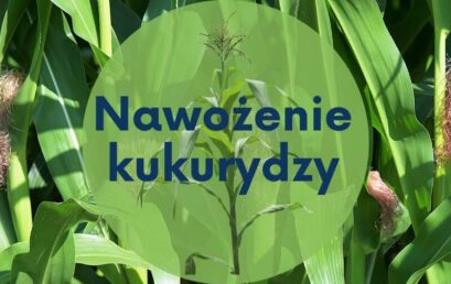 Zbilansowane nawożenie