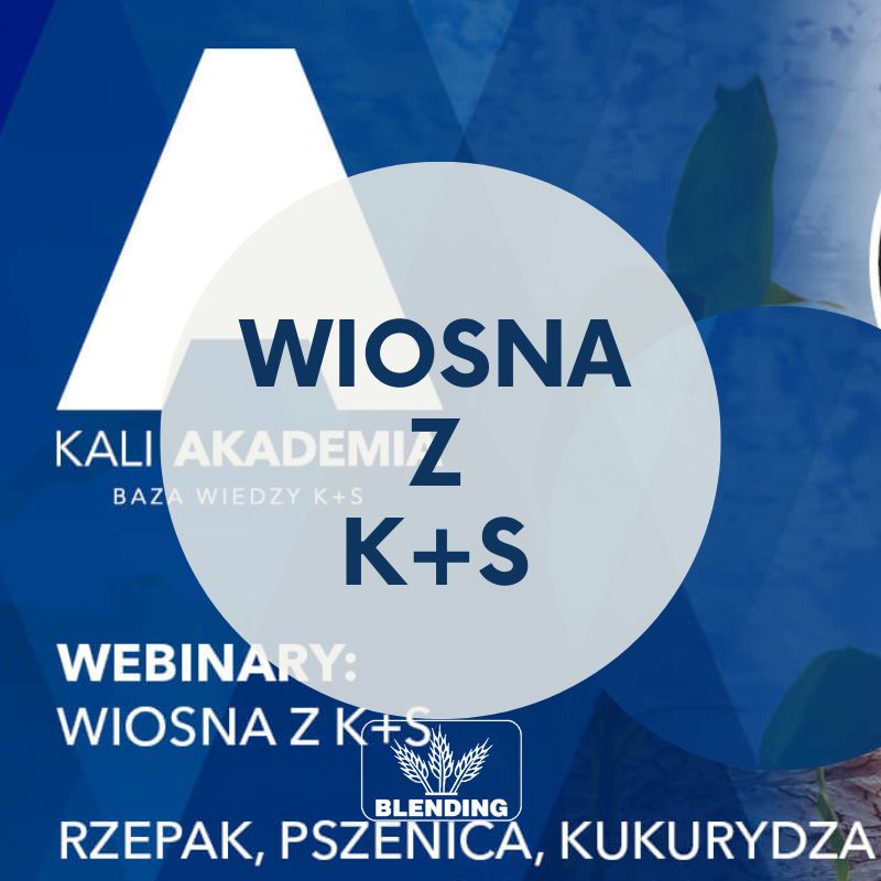 “WIOSNA Z K+S”