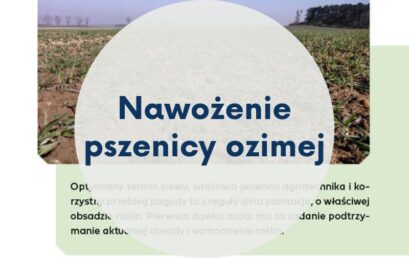 Wiosenne nawożenie