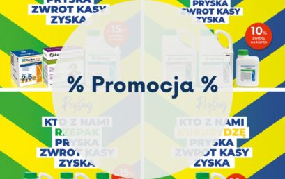 Promocja!